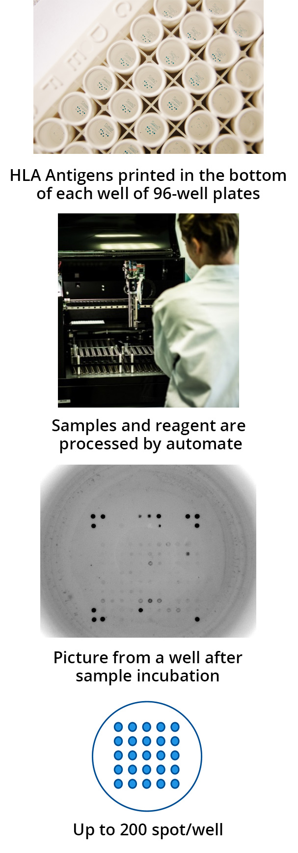 Transplantation test principle