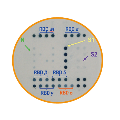 covidiag plus vignette