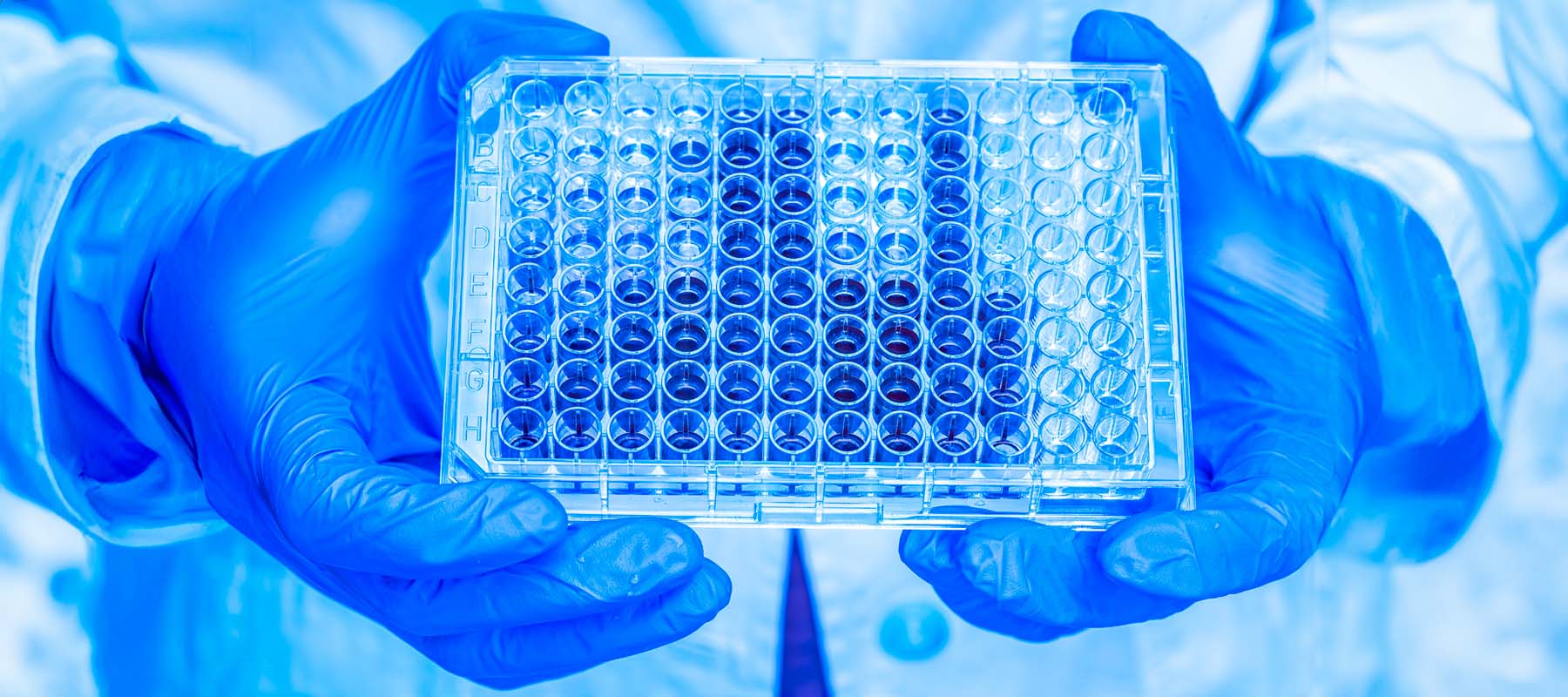 Wells microplate